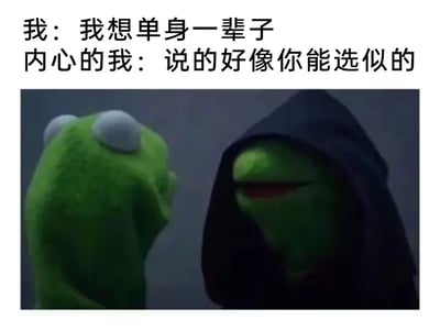 这张梗图采用经典的「双面柯密特青蛙」模板创作，画面左侧是普通的柯密特青蛙，代表口头上的自己，配文「我：我想单身一辈子」；右侧是身着黑袍的邪恶版柯密特青蛙，代表内心的真实想法，配文「内心的我：说的好像你能选似的」。通过嘴上的逞强和内心的真实吐槽形成反差，用自嘲的方式调侃被动单身的无奈处境，戳中众多单身人士的心境，搞笑又扎心。