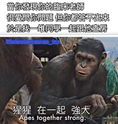 这是一张幽默梗图，上方文字描述了医学生面对临床老师频繁提问却答不上来时，找一群同学一起参加查房的情景。图片主体是电影《猩球崛起》中的经典场景，一只表情严肃的猩猩手持武器，下方配有文字"猩猩 在一起 强大 Apes together strong."，通过类比表达了医学生们希望通过集体力量应对老师提问的心态。