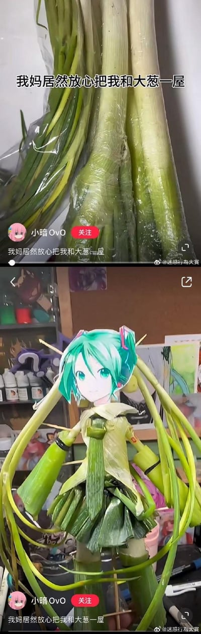 这是一组上下拼接的社交媒体截图，上图是抖音用户“小暗OvO”发布的内容，配文“我妈居然放心把我和大葱一屋”，画面展示了一捆大葱；下图是该用户发挥创意，用大葱的茎叶、葱白结合初音未来的头像，制作出的初音未来手作，完美呼应了初音未来因《甩葱歌》和大葱绑定的经典梗，趣味十足。
梗说明：初音未来因演唱《甩葱歌》，和大葱形成了强关联的经典二次元梗，用户用大葱制作初音手作，既呼应了上图的大葱和配文，又玩了这个经典梗，充满创意和搞笑感。