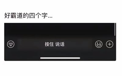 图片上方配有文字'好霸道的四个字...'，下方展示了类似社交软件语音输入界面的黑色矩形区域，中央显示'按住 说话'字样，左右两侧分别有键盘图标、表情图标和加号图标。整体通过幽默的方式将日常使用的'按住说话'功能描述为'霸道的四个字'，调侃其直接、命令式的语气。