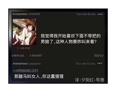 这是一张海外匿名贴图论坛的中文翻译截图，楼主（匿名ID69906983）发布了一张古风二次元男娘风格的插画，提问表示自己开始喜欢没有男性生理特征的男娘，想要询问这类人物的称呼；随后另一匿名用户（ID69906994）回复吐槽，直白地指出这种人物就是女人，并吐槽楼主的提问，对话充满搞笑的反差感，图片右下角标注了翻译者为“夕阳红-苟德”，整体是一个带有二次元梗的搞笑论坛对话截图。