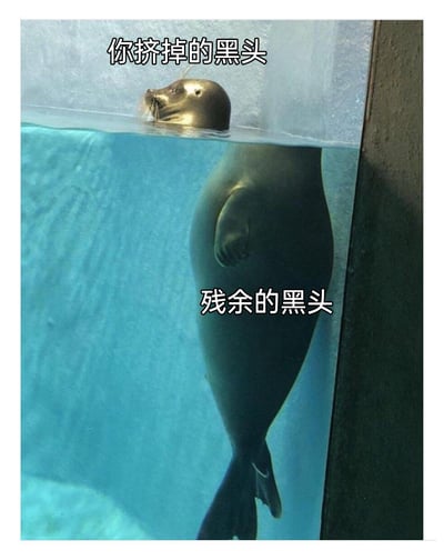 这是一张以海豹实拍照片改编的搞笑护肤梗图，利用海豹在水面上下的视觉分割效果，幽默地调侃挤黑头的护肤场景：水面上方露出的小巧海豹头部被标注为“你挤掉的黑头”，代表被清理出来的少量表面黑头；而水下庞大的海豹身体被标注为“残余的黑头”，形象又扎心地表现出挤黑头只能去除表层部分，毛孔中还残留大量黑头的真实情况，精准戳中护肤人群的痛点，用趣味的方式引发共鸣。