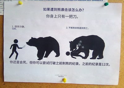 这是一张拍摄自软木板上张贴的打印版搞笑梗图，主题为解答身上仅有一把刀时遭遇熊袭击的应对方法。图中先给出两步看似正经的指引：第一步要求保持冷静站稳，配简笔小人持小刀面对熊的剪影图；第二步要求不断刺杀熊直到死亡，配熊将小人压在身下的剪影图。最后给出黑色幽默的结论：你最终还是会死，但可以尝试打破此前刺熊12次的纪录，整体用完全不符合常规求生逻辑的荒诞内容制造笑点。