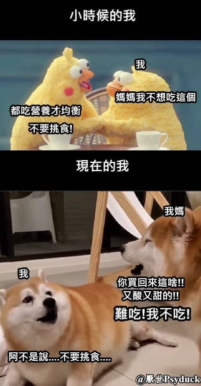 图片通过上下两部分的对比，幽默地展现了小时候父母劝孩子不要挑食，长大后父母反倒挑剔孩子买的食物的反差。上半部分使用了经典动画角色表演小时候的场景，下半部分则用柴犬模仿成人子女与父母的互动，非常有生活气息和代入感，双关地讽刺了成长过程中的观念变化。\n图片还具有动物梗、亲子矛盾等网络常见元素。