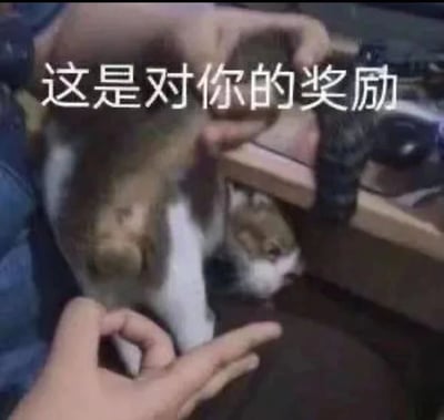 图片中一只橘白相间的猫咪被人用双手温柔抱起，猫咪身体放松，头部微微低下，表情平静。画面上方有白色文字“这是对你的奖励”，营造出一种将猫咪作为奖励赠予他人的温馨可爱场景，整体氛围轻松治愈。