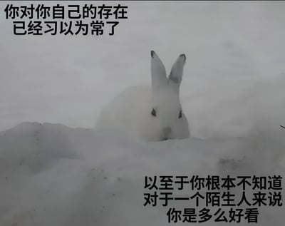 图片主体为一只白色兔子，它的头部和耳朵在弥漫的雾气中若隐若现，背景为灰白色调的朦胧雾气。图片上方有文字“你对你自己的存在已经习以为常了”，下方有文字“以至于你根本不知道对于一个陌生人来说你是多么好看”。整体通过兔子在雾中的意象与文字结合，传达出人们往往忽视自身美好，而在他人眼中却独具魅力的积极主题，带有温暖治愈的氛围。