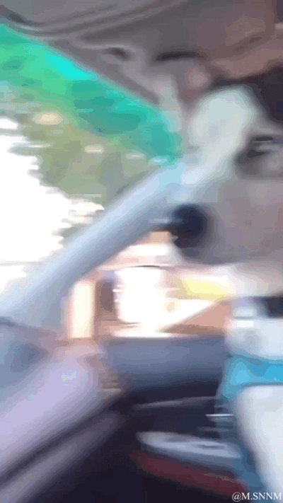 这是一段GIF动态图，画面记录了一只狗狗坐在行驶的车辆内部的瞬间，由于车辆晃动或者拍摄时的抖动，整个画面变得模糊，狗狗的脸部被动态拉伸变形，呈现出滑稽扭曲的效果，仿佛是被惯性甩得“面目全非”，充满了无厘头的喜感，属于记录宠物有趣日常的搞笑内容。