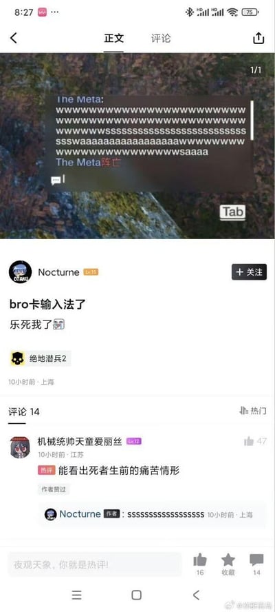 这是一张社交媒体截图，展示了用户Nocturne发布的搞笑内容。帖子主体是包含大量重复字母'w'和's'的文本块，顶部标注'The Meta:'，底部红色文字'The Meta 阵亡'模拟输入法卡顿效果。发帖人配文'bro卡输入法了 乐死我了'并带笑泪表情，评论区中'机械统帅天童爱丽丝'的热评'能看出死者生前的痛苦情形'获47赞，作者用一串's'回复，整体营造幽默吐槽氛围。
