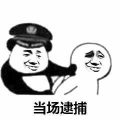 熊猫头警察当场逮捕表情包