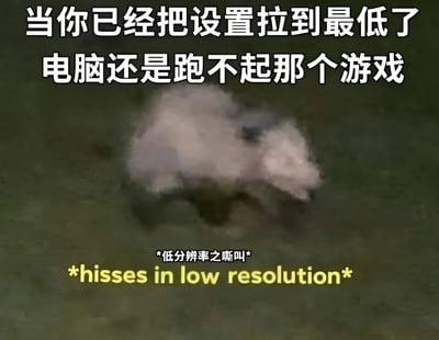 这是一张游戏玩家自嘲的梗图，上方文字为'当你已经把设置拉到最低了 电脑还是跑不起那个游戏'，中间是一团模糊不清、像素感极强的灰白色烟雾状图像，底部有黄色文字'*低分辨率之嘶叫*'和对应的英文翻译'*hisses in low resolution*'。图片通过低画质的视觉表现和文字内容，幽默地表达了电脑配置不足无法流畅运行游戏的无奈感受。