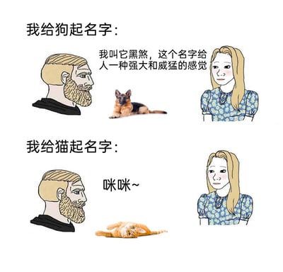 这是一张上下分栏的对比式卡通梗图，分为两个独立场景。上半部分主题为“我给狗起名字”，画面里一只德国牧羊犬趴卧在地，右侧的金发女性神态认真地介绍给狗取的名字是“黑煞”，称这个名字能传递出强大威猛的感觉，左侧的络腮胡男性面无表情地看向狗狗；下半部分主题为“我给猫起名字”，一只橘猫慵懒地躺卧着，金发女性则切换为软萌的语气，给猫起名“咪咪~”。两个场景中起名风格的强烈反差，生动展现出人们面对不同宠物时的心态变化，用贴近养宠日常的内容制造出幽默搞笑的效果。