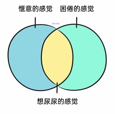 这是一张以维恩图形式呈现的生活趣味梗图，图中三个相交的圆形分别对应“惬意的感觉”与“困倦的感觉”，二者的交集部分被标注为“想尿尿的感觉”，用这种幽默的方式调侃人们在惬意又困倦的时刻，突然被尿意打断的无奈又真实的日常体验，精准引发用户对这类生活小瞬间的共鸣。