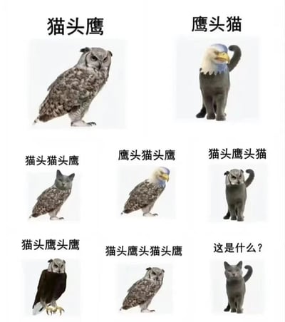 图片为3x3九宫格布局，展示了一系列由猫头鹰、鹰和猫的头部与身体拼接而成的荒诞混合生物。第一行从左到右依次是正常的「猫头鹰」（猫头鹰头+猫头鹰身）和「鹰头猫」（鹰头+猫身）；第二行是「猫头猫头鹰」（猫头+猫头鹰身）、「鹰头猫头鹰」（鹰头+猫头鹰身）、「猫头鹰头猫」（猫头鹰头+猫身）；第三行是「猫头鹰头鹰」（猫头鹰头+鹰身）、「猫头鹰头猫头鹰」（重复猫头鹰头+猫头鹰身），最后一格是普通灰猫配文「这是什么？」。通过不断叠加头部名称制造命名和视觉上的搞笑效果，展现递进式的荒诞感。
