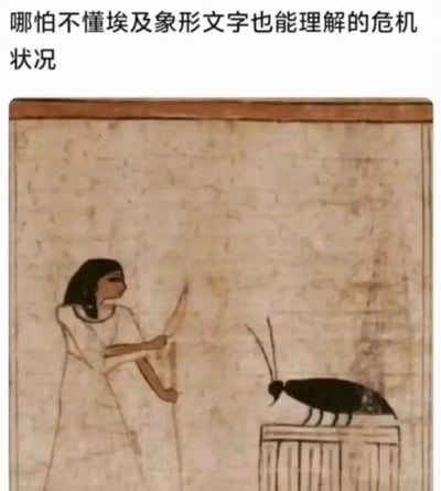 这是一张趣味梗图，顶部配有文字“哪怕不懂埃及象形文字也能理解的危机状况”，下方是仿古埃及纸莎草画风格的画面：一名穿着古埃及传统服饰的人物手持刀具，正紧张地对峙着站在台子上的体型很大的蟑螂，用跨越文明的共通场景，表现出人类遇到蟑螂时的慌乱、对峙的普遍状态，即便不了解古埃及文化也能轻松共情画面的内容。