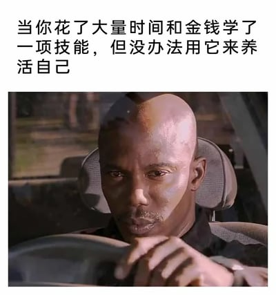 这是一张能引发大众共鸣的二次创作表情包，上方配有文字“当你花了大量时间和金钱学了一项技能，但没办法用它来养活自己”，下方是截取自美国恶搞喜剧《惊声尖笑》系列电影的画面：一位黑人男性坐在汽车驾驶座上，神情低落沉重，眼神里满是无奈与失落，一只手搭在方向盘上。整张图将人们花费大量成本学习技能却无法变现谋生的沮丧、无奈情绪，通过人物的神态精准传递出来，戳中了许多有类似经历的人的痛点。