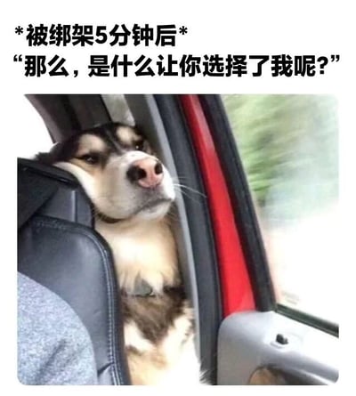 一张幽默梗图，展示了一只哈士奇在车内的场景。图片上方配有文字："*被绑架5分钟后* '那么，是什么让你选择了我呢?'"。图中的哈士奇表情淡定，甚至带着一丝好奇，与被绑架这一紧张情境形成强烈反差，产生喜剧效果。