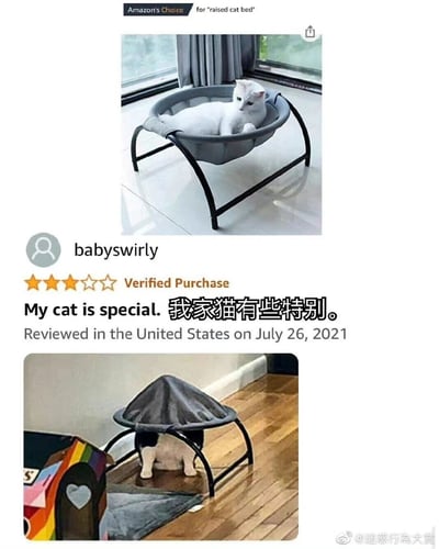 这是一张亚马逊商品评论的拼接截图，商品是被标注为“Amazon's Choice”的高架猫窝。用户babyswirly在2021年7月26日于美国发布了带图的三星验证购买评价，配文“My cat is special. 我家猫有些特别。”。上方是商品官方展示图，一只白猫正常躺在猫窝的网面内；下方是用户实拍图，一只黑白猫没有躺在网面上，而是蹲在猫窝的支架下方，把网面整个顶了起来，用完全违背商品设计用途的方式“使用”猫窝，形成了强烈的反差感，十分搞笑。