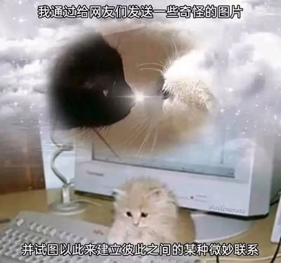 这是一张经过P图改编的趣味梗图，画面主体是桌面场景：一只浅米色的软萌小猫懵懂地趴在电脑键盘上，电脑屏幕被合成了一黑一白两只猫咪头部相对、中间迸发光芒的奇幻画面，屏幕左侧的台灯影子与黑猫的形象巧妙融合，形成视觉错位效果，仿佛黑猫从屏幕中延伸到了现实桌面。图片上下配有拟人化的文字，将小猫拟人化为通过给网友发送奇怪图片，试图建立微妙社交联系的网络使用者，精准捕捉到网络社交中一种小众又细腻的互动方式，充满诙谐与共鸣感。