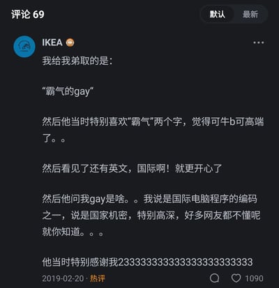 这是一条发布于2019年2月20日的社交平台热评，用户IKEA分享了自己和弟弟之间的搞笑互动：为弟弟取了“霸气的gay”这个网名，弟弟因喜欢“霸气”二字，又觉得带英文显得很有“国际范”而十分开心；当弟弟询问“gay”的含义时，评论者编造谎言，称这是国际电脑程序的编码，属于国家机密，十分高深，只有弟弟能知道，弟弟因此对评论者十分感激。整个内容充满了调侃和趣味，展现了兄妹/姐弟间轻松搞笑的相处日常，评论获得了1090个点赞，成为热评。