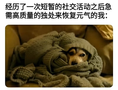 这张梗图上方配有文字'经历了一次短暂的社交活动之后急需高质量的独处来恢复元气的我:'，下方是一张照片，内容是一只狗几乎完全裹在毯子里，只露出眼睛和鼻子，躲在沙发上休息。图片幽默地表现了内向者在社交活动后需要独处来恢复精力的状态，通过狗的形象引发共鸣。