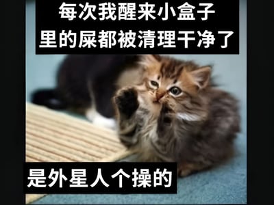 一张幽默的猫咪图片，图中是一只橘色的长毛猫，正抬起一只爪子，疑惑地向上看。图片上方有文字："每次我醒来小盒子里的屎都被清理干净了"，下方有文字："是外星人个操的"。这张图片用拟人化的手法，幽默地表现了猫咪可能会疑惑自己的猫砂盆为什么总是干净的，戏仿式地将功劳归于外星人。