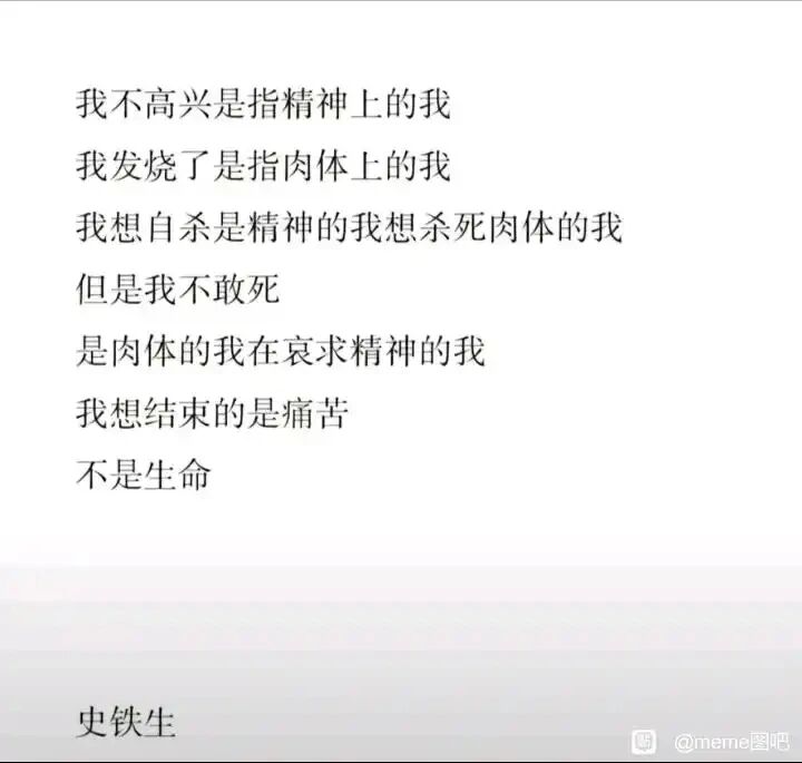 中国当代作家，代表作有《我与地坛》《务虚笔记》等