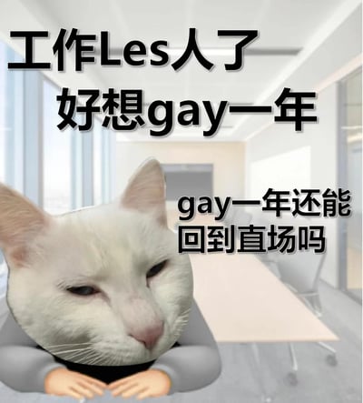 图片主体是一只表情疲惫的白猫头部被拼接到人类身体上，背景为明亮的办公室走廊。白猫眼神低垂，姿态慵懒，似乎在表达工作的倦怠感。图片上方和右侧配有黑色醒目文字：“工作Les人了 好想gay一年 gay一年还能回到直场吗”。

图片运用了多处谐音梗：“Les人”谐音“社畜”（职场打工人的自嘲称呼），“gay一年”谐音“歇一年”（休息一年），“直场”谐音“职场”，通过幽默的语言游戏表达了当代职场人对工作压力的无奈和渴望长时间休息的心情，同时调侃“休息一年后能否顺利回归职场”的现实困惑。