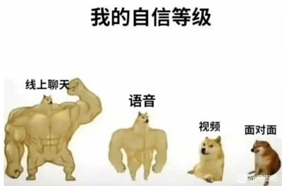 这张图片通过四个形态差异巨大的柴犬形象，对应四种不同的沟通场景，生动展现了人们在不同社交场景下的自信程度变化：最左侧是肌肉极度发达的柴犬，对应“线上聊天”场景，它握拳抬起手臂，姿态充满力量感，代表着在无需直面他人的线上沟通中，人们的自信感拉满；第二个是肌肉有所弱化的柴犬，对应“语音”场景，姿态相对放松但仍有一定气场，代表语音沟通时自信程度有所下降；第三个是瘫坐的普通胖柴犬（Cheems），对应“视频”场景，神态平淡无神，代表视频沟通时自信明显不足；最右侧是瘦小怯懦的柴犬，对应“面对面”场景，它蹲坐着，神态不安，代表面对面沟通时自信几乎全无。整张图精准戳中了当代很多人尤其是社恐人群的社交状态，用夸张的形象对比，调侃了线上线下社交时的自信落差。