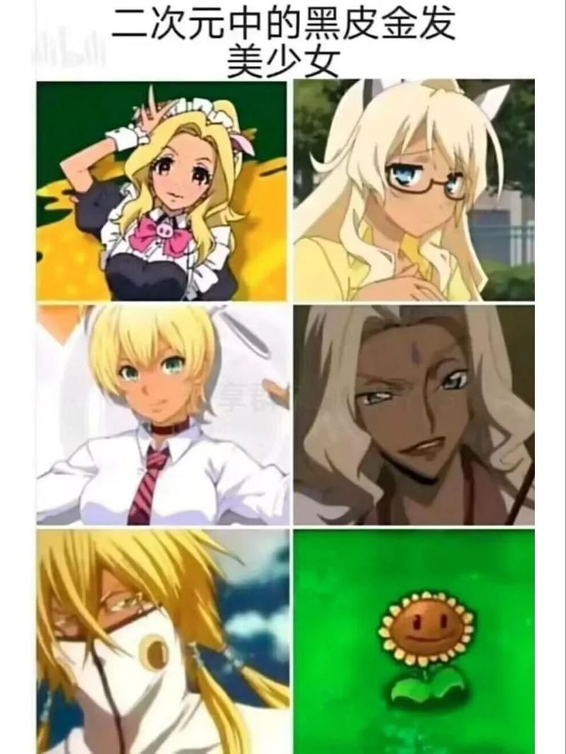 向日葵