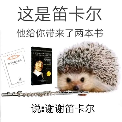 图片上方有文字“这是笛卡尔 他给你带来了两本书”，中间左侧是《笛卡尔哲学原理》中文版书籍封面，中间偏右是英文版《A DISCOURSE ON THE METHOD OF RIGHTLY CONDUCTING THE REASON》书籍封面（封面上有笛卡尔肖像），右侧是一只刺猬的图片，下方有一支长笛的插图，底部文字为“说:谢谢笛卡尔”。图片通过谐音梗制造幽默效果，“笛卡尔”中的“笛”对应图中的长笛，将哲学家与可爱的刺猬、乐器元素结合，形成反差萌的搞笑画面。