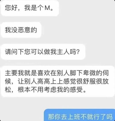 这是一张聊天记录截图，左侧发言者自称'M'，表示喜欢在别人脚下卑微伺候并请求对方做主人，右侧蓝色气泡回复'那你去上班不就行了吗'，用幽默方式将职场中的卑微状态与'M'的表述联系起来，形成讽刺搞笑效果。