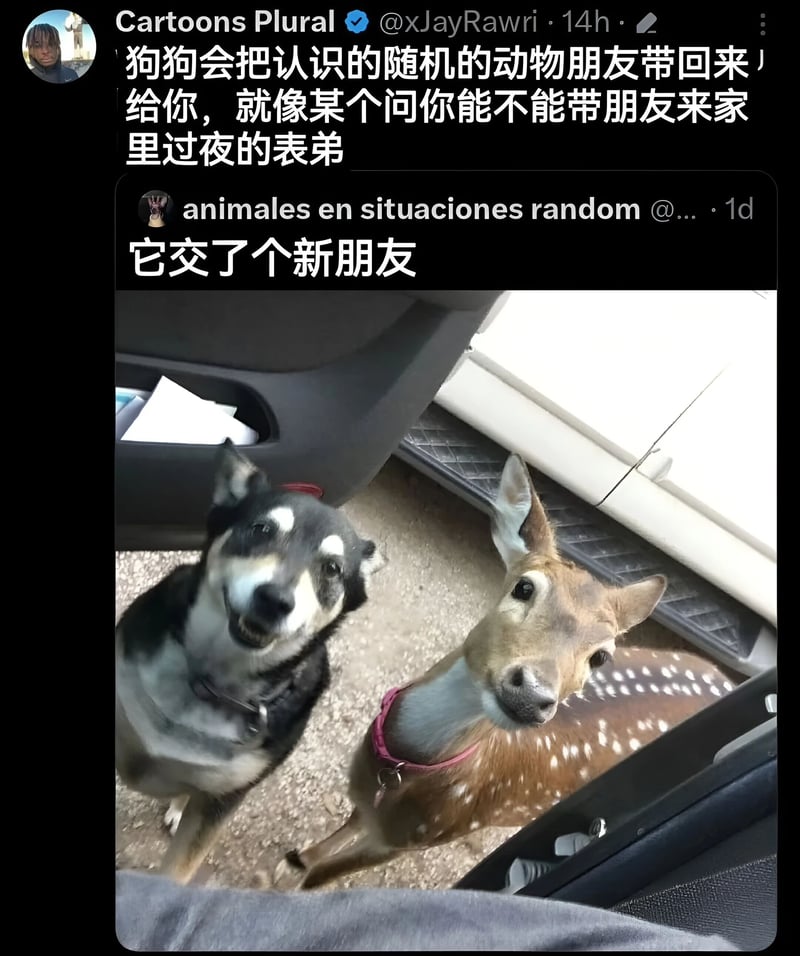 鹿