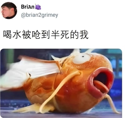 图片上方显示用户头像及名称“Brian”（带葡萄 emoji）和账号“@brian2grimey”，下方配有中文文字“喝水被呛到半死的我”。主视觉为一条卡通橙色鱼，身体圆胖，双眼圆睁突出，嘴巴大张呈惊恐状，鱼鳍快速摆动，仿佛在剧烈挣扎。整体通过夸张的鱼的惊慌神态，幽默类比人喝水被呛到时的狼狈状态。