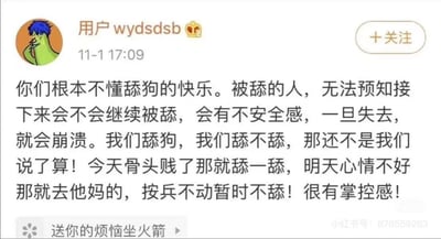 这是一张来自小红书平台的用户发帖截图，用户wydsdsb以颠覆常规的视角解读“舔狗”的心态，打破了大众对舔狗处于情感弱势的固有认知。帖子中用接地气的口语化表达，提出被舔的人会因为无法确定是否能持续被关注而产生不安全感，一旦失去被舔的状态就会崩溃；而舔狗却能自主选择是否继续付出，心情好就继续，心情不好就暂停，以此获得强烈的掌控感，内容搞笑荒诞，搭配左侧的绿色蓝发卡通人物头像，整体风格戏谑幽默，引发对恋爱相处模式的反向思考。