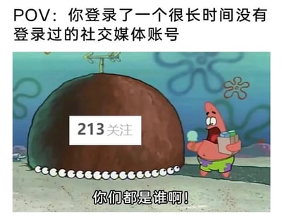 这张梗图使用了《海绵宝宝》中的角色帕特里克·星的场景，幽默地表现了人们登录许久未用的社交媒体账号时，面对大量关注者感到陌生和困惑的情景。图中帕特里克惊讶地看着显示"213关注"的大石头，下方配文"你们都是谁啊!"，生动展现了用户面对陌生关注列表时的真实反应。