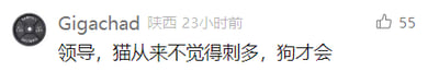 这是一张社交媒体评论区的横版截图，用户“Gigachad”标注所在地为陕西，于23小时前发布了一条带有隐喻的职场吐槽评论：“领导，猫从来不觉得刺多，狗才会”，该评论收获了55个点赞。评论用猫和狗进行隐喻，暗指职场中，像猫一样有个性、不刻意迎合的人不会感受到过多的职场束缚与压力，而像狗一样迎合领导、被职场规则束缚的人则会觉得难处重重，以此调侃职场中的不同生存状态。