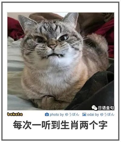 暂无描述