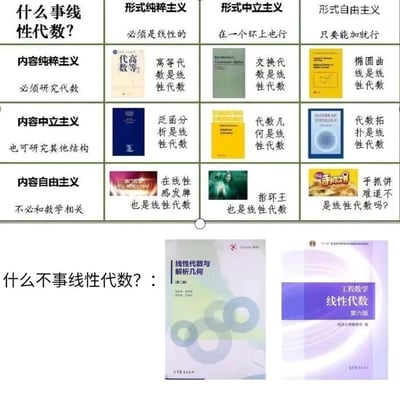 这是一张以网格形式展示的关于线性代数定义的幽默分类图。图片将不同学术观点类比为各种'主义'，从严格到宽松地展示了对线性代数定义的不同理解。上半部分分为形式纯粹主义、形式中立主义、形式自由主义、内容纯粹主义、内容中立主义和内容自由主义六大类，每类都配有相应的解释或书籍图片。下半部分则以'什么不事线性代数？'为标题，展示了两本实际的线性代数教材，形成幽默的反差。