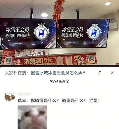 整张图由上下两部分拼接而成，上半部分是实拍的蜜雪冰城门店内部场景，天花板悬挂的两台显示屏展示冰雪王会员的提示页面，文字为「冰雪王会员 祝您用餐愉快」，附带取餐码，页面上的会员标识为带皇冠的蓝色小鹿徽章，和瑞幸咖啡的品牌鹿头标识高度相似；显示屏下方是蜜雪冰城的活动横幅，标注「消费满15元」的促销信息。下半部分是社交媒体的评论区截图，顶部有搜索联想词条「大家都在搜：蜜雪冰城冰雪王会员怎么弄」，显示共有9594条评论，一条高赞评论玩梗，模仿瑞幸的愤怒口吻质问「瑞幸：你骑得是什么？骑得是什么！混蛋！」，下方搭配了一张模糊的生气猫咪表情包，整体是调侃蜜雪冰城的会员标识碰瓷瑞幸品牌视觉元素的搞笑网络梗。