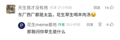 这是一张国内内容社区的评论区截图，呈现了普通用户与账号作者的趣味互动场景。用户“天生我才没有用”发布了一条尝试押韵玩梗的评论：“东厂西厂都是太监，花生草生喝羊肉汤”，还附带了一个眨眼吐舌的调皮表情，该评论收获了16个点赞；随后该内容的作者“花生meme基地”针对评论里的模糊内容回复用户，反问“那我问你草生是什么”，这条回复获得了6个点赞。从互动逻辑来看，用户大概率是想结合账号名“花生”创作押韵梗，但其中的“草生”要么是笔误，要么是用户自身也不明确含义的内容，因此引发了作者的疑问，形成了一段玩梗“翻车”的有趣互动。