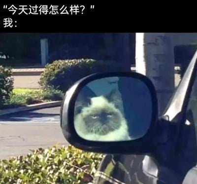 图片上方有文字“今天过得怎么样？”和“我：”，下方是一张汽车侧后视镜的照片，镜中映出一只表情略显疲惫、眼神放空的猫。通过这种图文结合的方式，幽默地表达了当被问及一天过得如何时，自己内心疲惫却无言以对的状态，用猫咪慵懒的形象生动展现了日常的倦怠感。