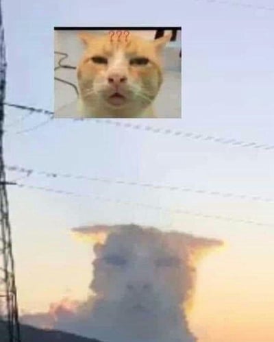 这是一张趣味合成的梗图，画面上方是经典的“疑惑猫”表情包，猫咪的眉头位置有类似问号的线条，面部呈现出困惑茫然的神态；画面下方是天空中自然形成的猫形云朵，其轮廓、神态和上方的疑惑猫高度相似，搭配旁边的高压电线塔，仿佛天空中出现了一只巨型的疑惑猫，两者的完美呼应制造出巧合的趣味感，图中没有双关、谐音梗等内容。