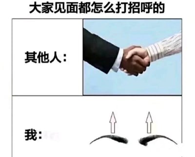 这张梗图用分隔的两格对比了人与人见面打招呼的不同方式。上半部分是大多数人标准的握手礼，下半部分则展示了自嘲式的搞笑场景——‘我’只通过扬眉毛来表示打招呼，突出社恐、内向或懒得寒暄的心态，展现了网友日常尴尬又真实的社交习惯，是一种自黑式玩笑。

图中有明显的对比与反差，属于典型的meme调侃风格。无暗示、谐音梗，仅以动作幽默取胜。