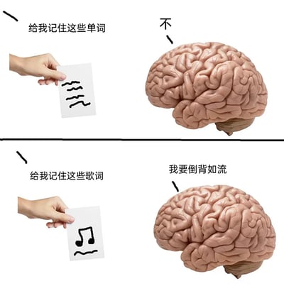 这是一张上下对比的连环静态图，精准调侃了大众在记忆不同内容时的反差行为：上图中一只手拿着画有类似单词线条的卡片，配文“给我记住这些单词”，旁边的大脑模型配文“不”，表现出对记单词的抗拒；下图中同一只手拿着带有音符图案的卡片，配文“给我记住这些歌词”，大脑模型则配文“我要倒背如流”，展现出对记歌词的极度积极，生动还原了很多人面对学习类记忆内容的抵触，和娱乐类记忆内容的主动投入的日常状态。