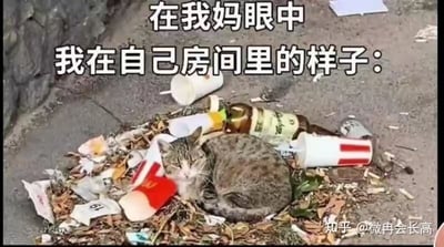 图片中有一只猫趴在一堆垃圾上，垃圾包括饮料杯、酒瓶、纸张等。上方的大字写着：“在我妈眼中我在自己房间里的样子：”。图片通过猫窝在垃圾堆中的画面对比，幽默表达了妈妈眼中的子女房间总是一团乱的刻板印象，是典型自嘲型家庭关系梗图。无明显双关、谐音梗或暗示。