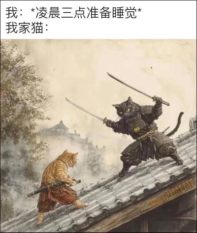 这张梗图上方配有文字“我：*凌晨三点准备睡觉* 我家猫：”，下方是一幅艺术插画，描绘了两只穿着武士服装的猫在传统日式屋顶上持剑对峙的场景。橘猫穿着红色武士裤，黑猫则全身披挂黑色盔甲，两只猫都摆出专业的战斗姿势，背景是朦胧的山水和古建筑。图片通过将深夜准备睡觉的主人与突然变得精力充沛、仿佛要进行激烈对决的猫咪进行对比，幽默地表现了猫咪在主人想要休息时反而变得活跃的常见行为。