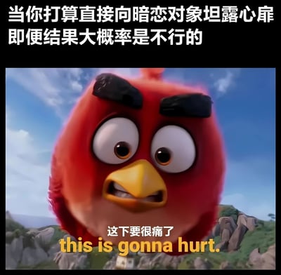 图片上方有文字'当你打算直接向暗恋对象坦露心扉即便结果大概率是不行的'，下方是《愤怒的小鸟》电影中的主角Red的特写镜头，它眉头紧锁，眼神中充满担忧但又带着一丝决心，下方配有文字'这下要很痛了 this is gonna hurt.'，通过Red的表情生动展现了向暗恋对象表白前明知可能被拒绝但仍要尝试的复杂心情。