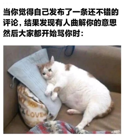 图片上方是黑色文字：'当你觉得自己发布了一条还不错的评论，结果发现有人曲解你的意思然后大家都开始骂你时：'，下方是一只白色带橘色斑点的胖猫，正趴在棕色沙发上，前爪抱着一个浅蓝色枕头，身体蜷缩，眼神看起来有些委屈和无奈，完美诠释了评论被误解后遭群嘲的尴尬与无助心情。