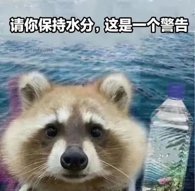 这是一张静态的图文混排类表情包，画面主体是一只表情严肃、眼神直视前方的浣熊，它的右侧放置着一瓶透明瓶装饮用水，背景是蓝色的水面。图片顶部配有醒目的白色黑体文字“请你保持水分，这是一个警告”，用带有警告感的幽默语气，以诙谐的方式提醒人们要及时喝水补充水分，整体风格搞笑又实用，适合在聊天场景中用来督促他人或自己补水。