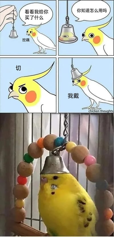这张图由上下两部分拼接而成，上半部分是四格连环卡通漫画：人类给玄凤鹦鹉展示一个悬挂的铃铛玩具，鹦鹉先是用谐音梗“挖藕（哇哦）”表达好奇，随后露出不屑的表情说“切”，最后反其道而行之把铃铛戴在了头顶；下半部分是真实的黄化玄凤鹦鹉模仿漫画场景，将铃铛玩具戴在头上，安静地坐在串珠秋千上，形成了漫画情节照进现实的有趣呼应。整体内容通过卡通与真实动物的行为反差，搭配谐音梗，制造出轻松搞笑的效果，展现了宠物的趣味性。